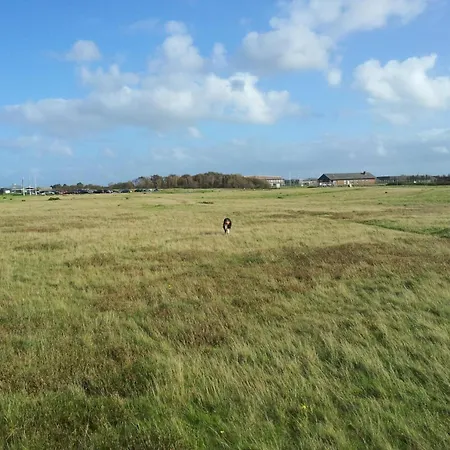 Horstmann-17-o * Westerland